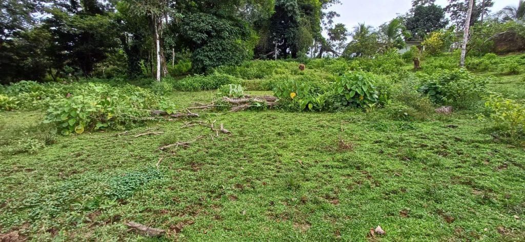 Lote en Limón la Aurora