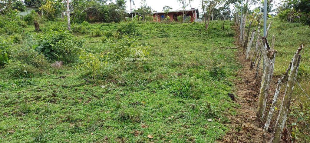 Lote en Limón la Aurora