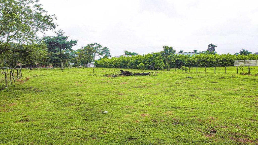 Lotes en Guápiles Limón