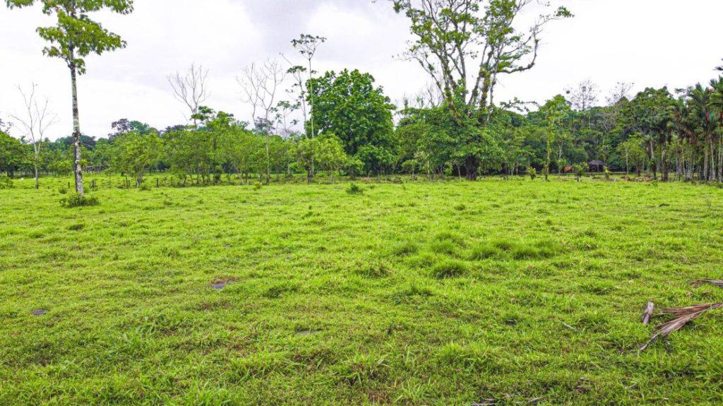 Lotes en Guápiles Limón