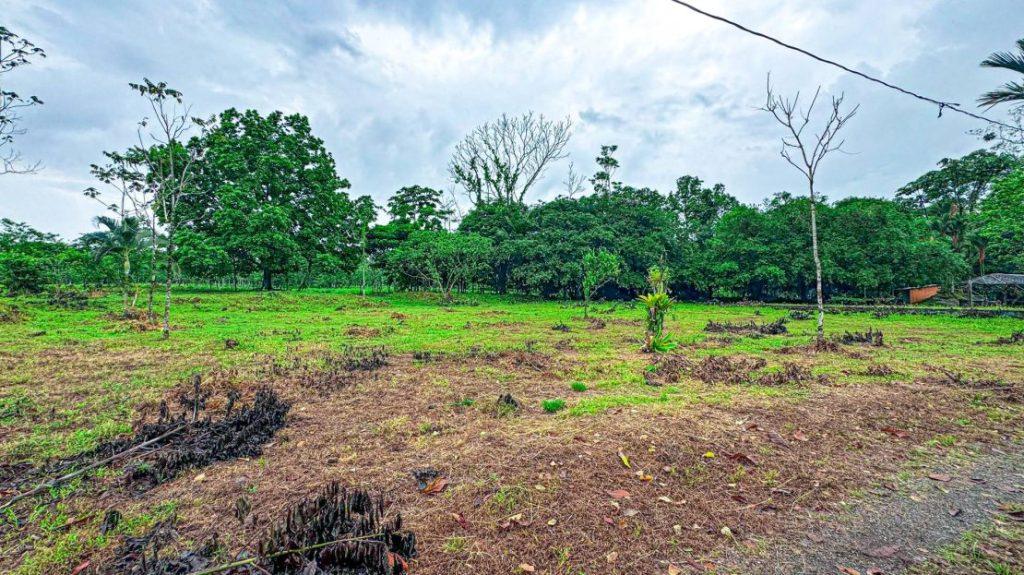 Lotes en Guápiles Limón